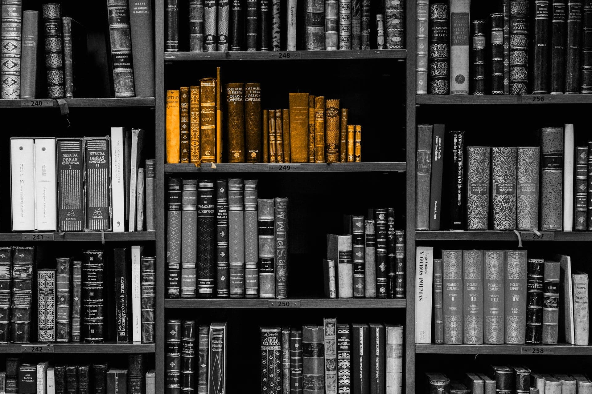 A black and white image of a bookshelf, with a few orange books in the centre