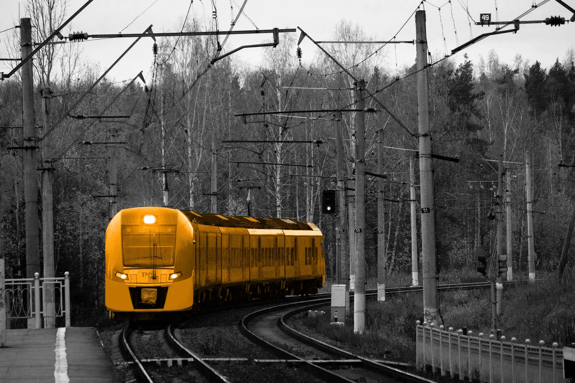 A black and white image of a forest and train tracks, with a orange train